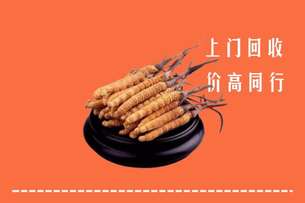 高价求购：湄潭县回收散虫草