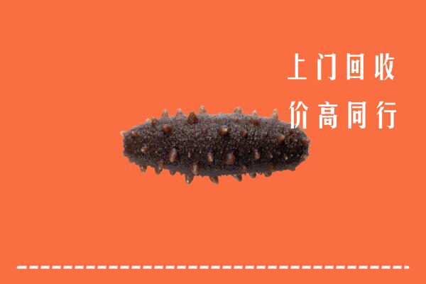 高价求购：湄潭县回收海参