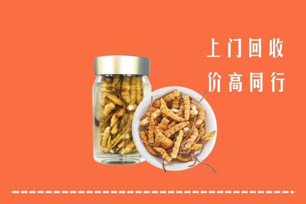 湄潭县回收冬虫夏草